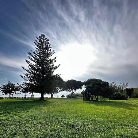 Les Pieds Dans L'eau Apartment *